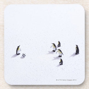 The penguins playing soccer coaster