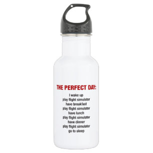 The Perfect Flight Simulator Day 532 Ml Water Bottle