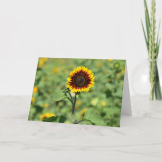 The Perfect Sunflower - Happy Greeting Card