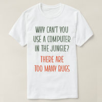 The Perils of Bugs and Computers