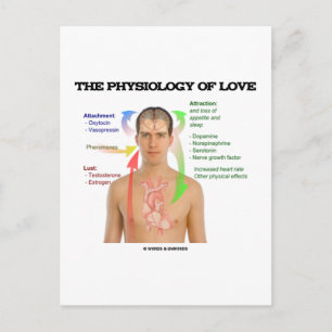 The Physiology Of Love (Symptoms Of Love) Postcard