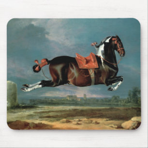 The piebald horse 'Cehero' rearing Mouse Pad
