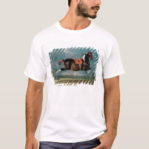 The piebald horse 'Cehero' rearing T-Shirt