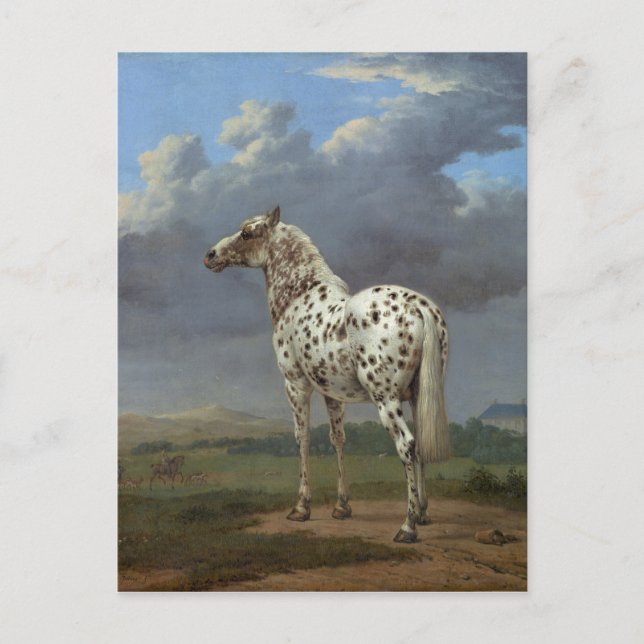 The Piebald Horse Postcard (Front)