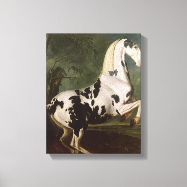 The Piebald Stallion at the Eisgruber Stud Canvas Print (Front)