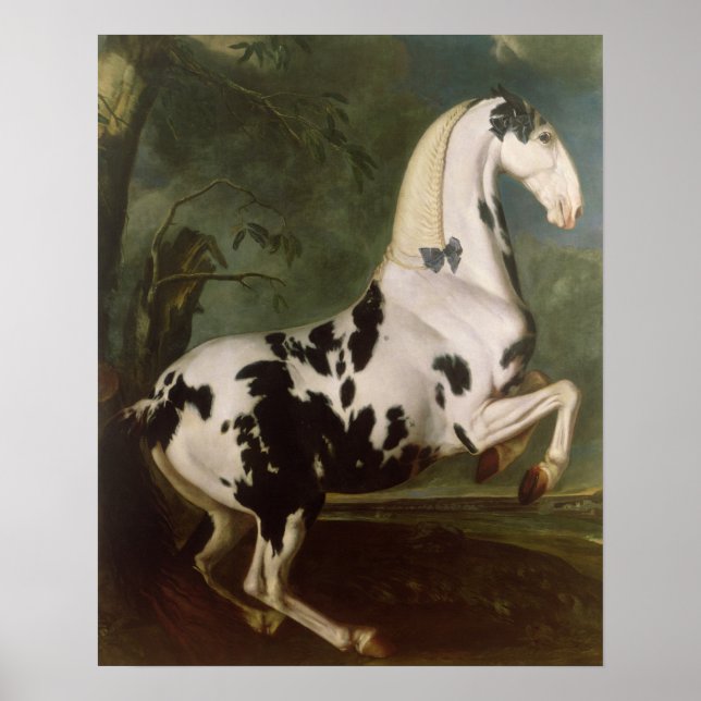 The Piebald Stallion at the Eisgruber Stud Poster (Front)