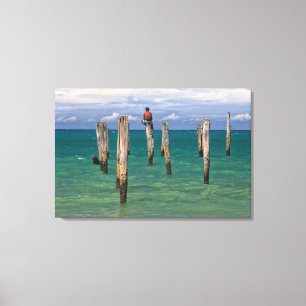 The Pier In Coqueiros Beach In Trancoso Canvas Print