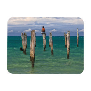 The Pier In Coqueiros Beach In Trancoso Magnet