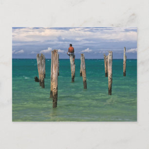 The Pier In Coqueiros Beach In Trancoso Postcard