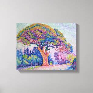The Pine Tree at St. Tropez, 1909 Canvas Print