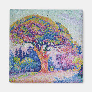 The Pine Tree at St. Tropez, 1909 Magnet