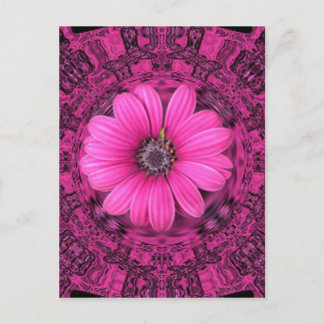 THE PINK DAISY POSTCARD