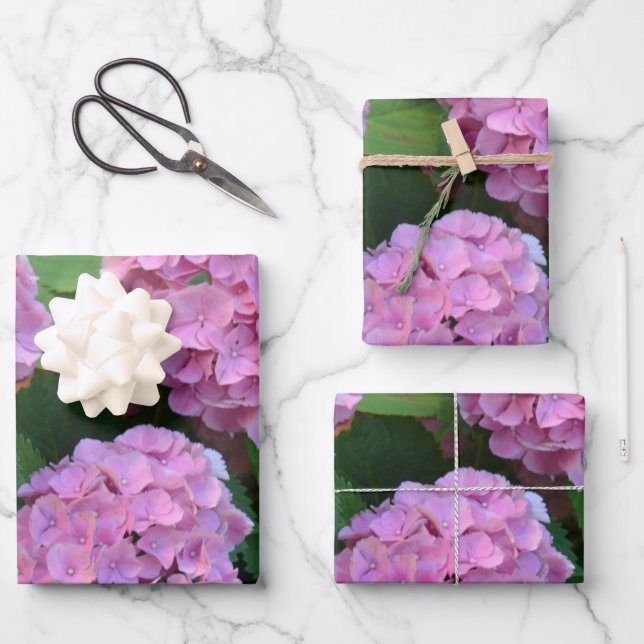 The pink Hortensia hydrangea bush   Wrapping Paper Sheet (Front)