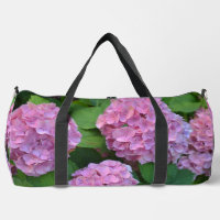The pink Hortensia hydrangea Flowers