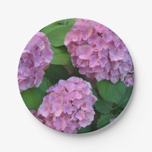 The pink Hortensia hydrangea   Paper Plate