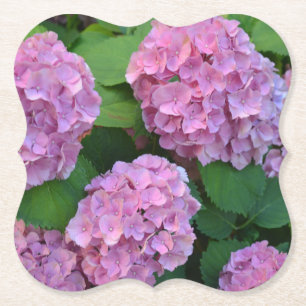 The pink Hortensia hydrangea Party Paper Coaster