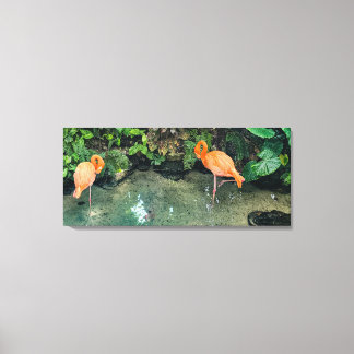 The Pink Pair Canvas Print