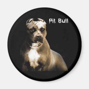 The PITbull Magnet