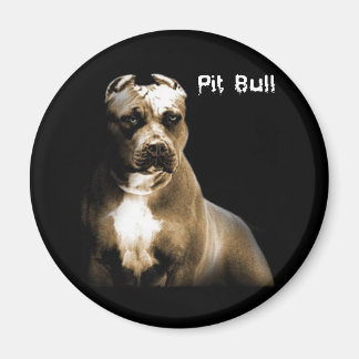 The PITbull Magnet