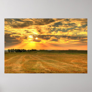 The Pivot Hayfield Poster