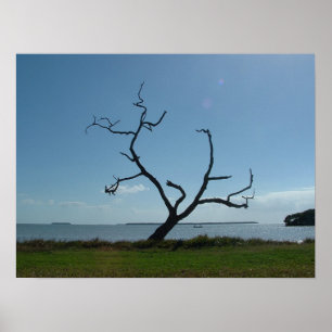 The Poet Tree Poster