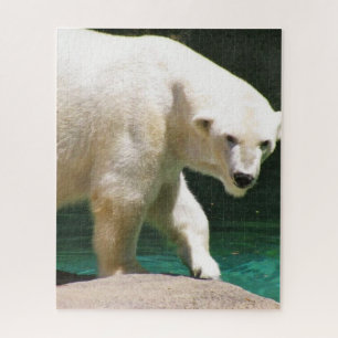 THE POLAR BEAR puzzle