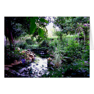 the pond