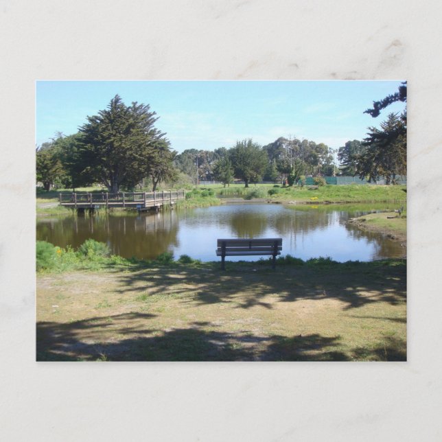 The Pond At Crab Cove Postcard (Front)