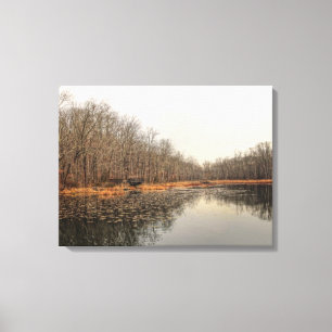 The Pond Canvas Print