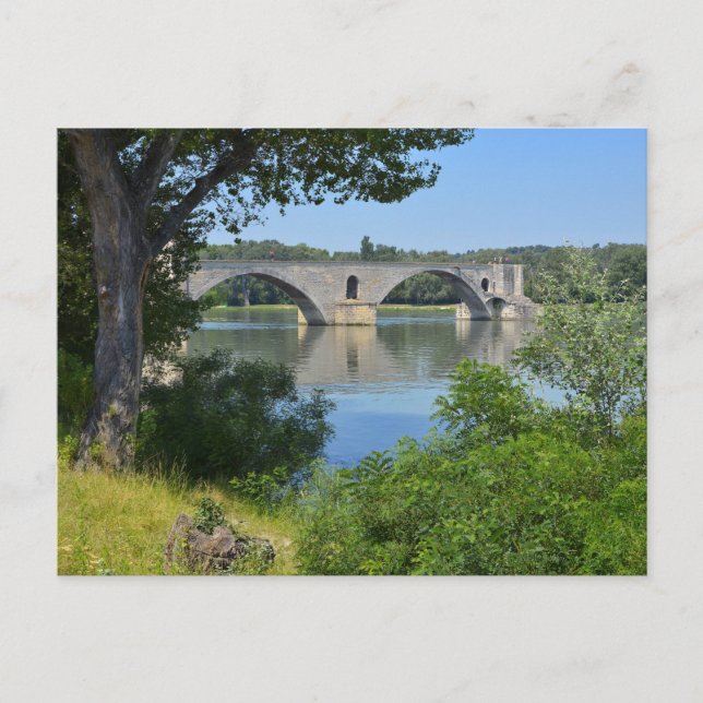 The Pont d'Avignon on the Petit Rhône in France Postcard (Front)