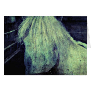 The Pony