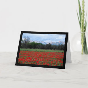 The Poppy Field Card