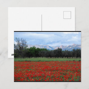 The Poppy Field Postcard