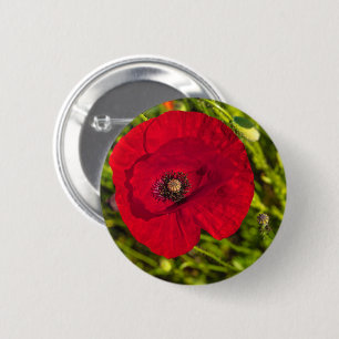 The poppy series #2 6 cm round badge