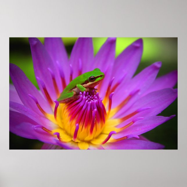 The Poser Poster (Front)