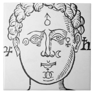 The Position of the Planets in the Human Head, cop Tile