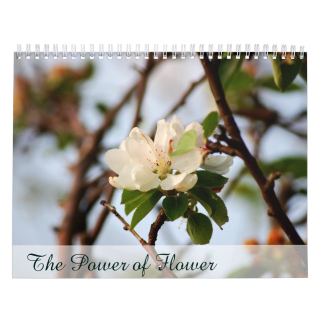 The Power of Flower Calendar (Cover)