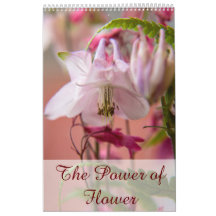 The Power of Flower