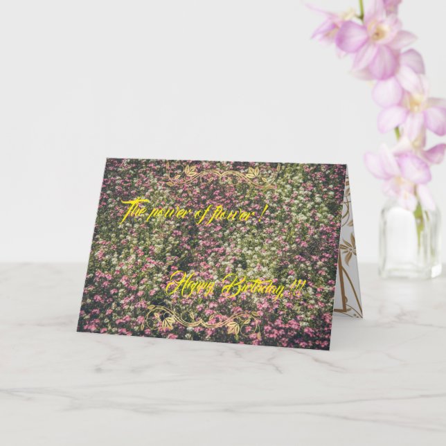 The Power of the Flower Card (Orchid)