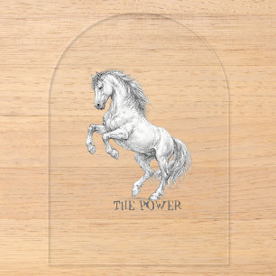 The Power of the Stallion Majestic Horse Graphic Acrylic Invitations