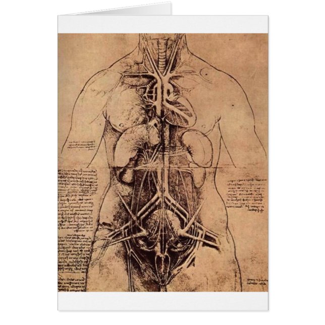 The Principle Organs and Vascular and Urino-Genita (Front)