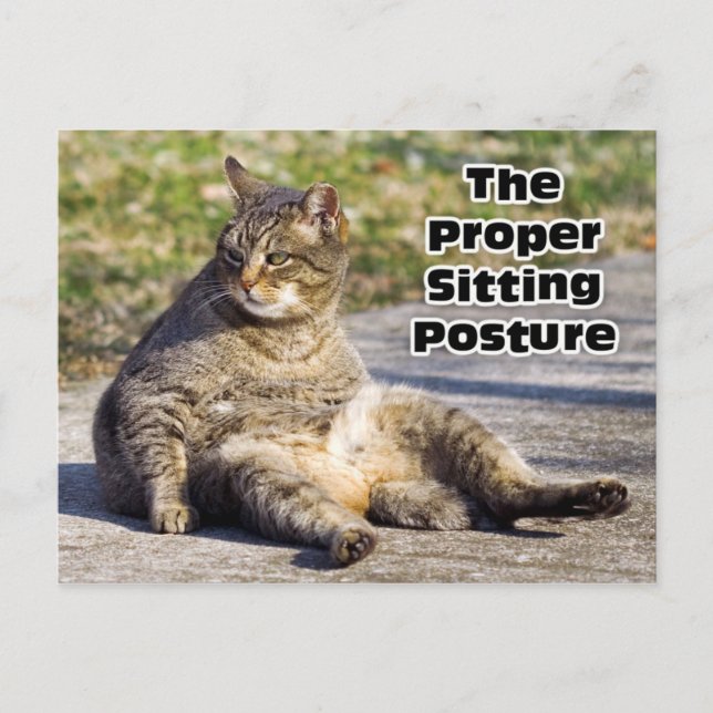 The Proper Sitting Posture Postcard (Front)