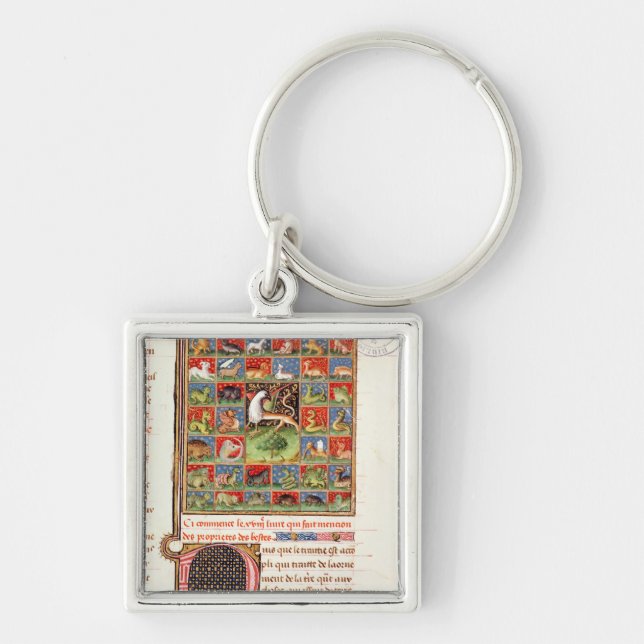 The Properties of Animals Key Ring (Front)