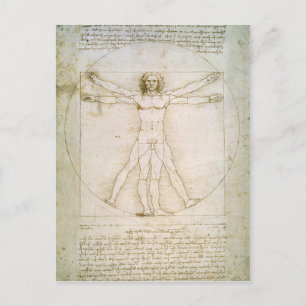The Proportions of the human figure Postcard