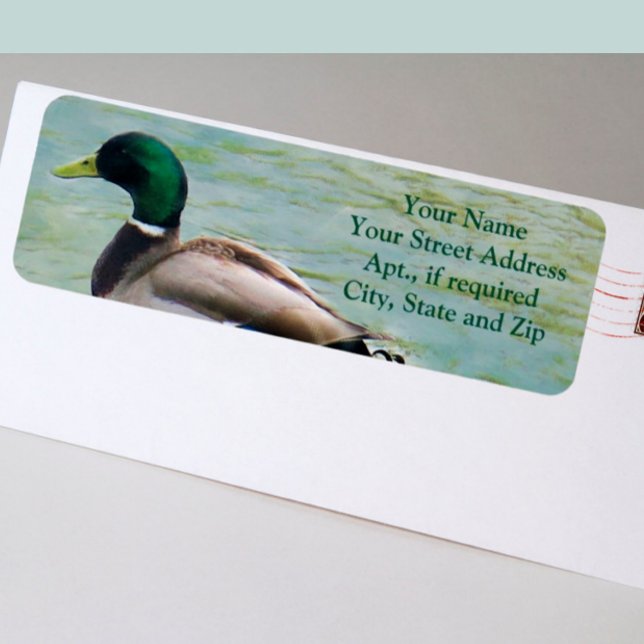 The Proud Mallard Duck as Return Address Labels (Creator Uploaded)