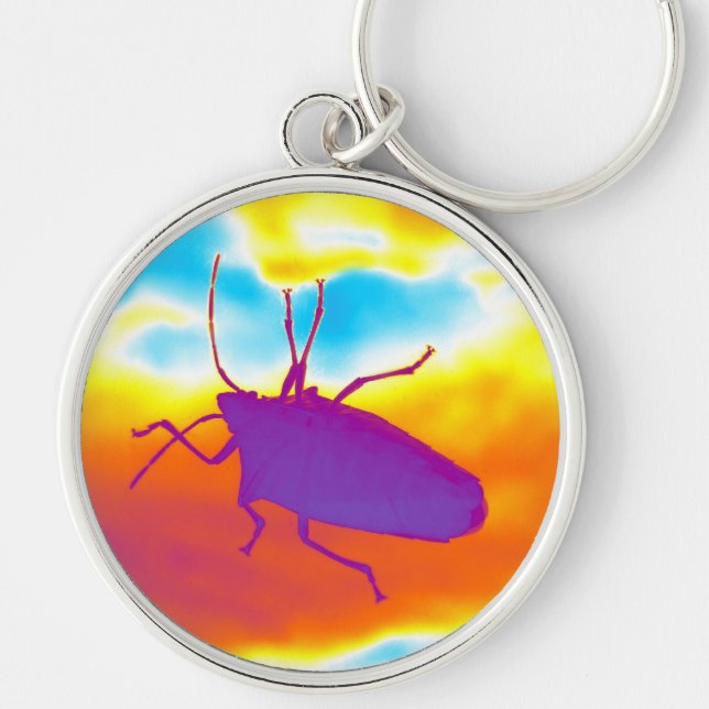 The Psychedelic Bug Key Ring (Front)