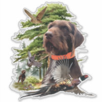 The Pudelpointer