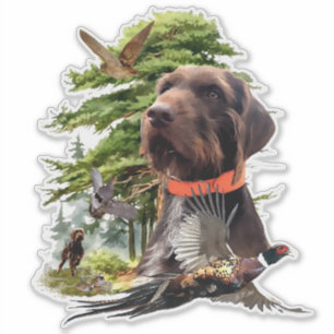 The Pudelpointer 