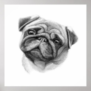 The Pug Portrait Cute Pug Dog Face Poster