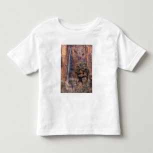 The Pulpit and ephemeral waterfall Toddler T-Shirt